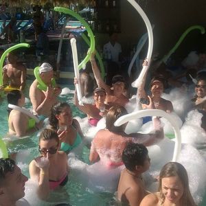 Meet your Posher, Tee